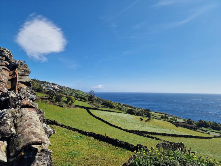 Ruina com traça tradicional e potencial único na costa sul da Ilha do Pico