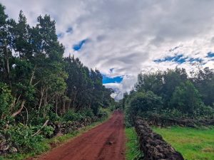Terreno nas Bandeiras, Ilha do Pico, para construção da sua casa