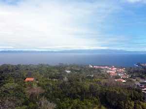 10.567 m² na Rua da Bragada, Santo António Projeto com Identidade no Pico