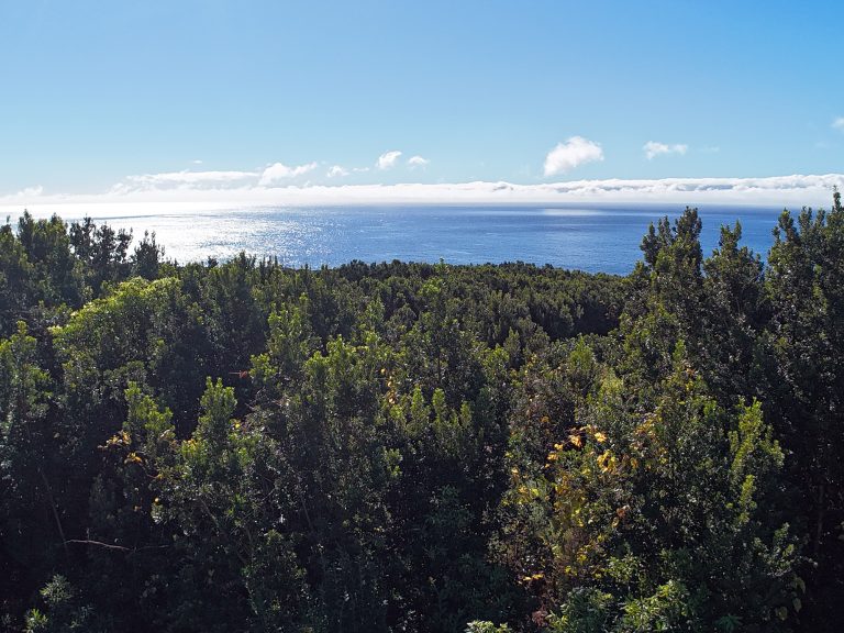 Construa a Sua Casa com Vista Mar em São Mateus Ilha do Pico