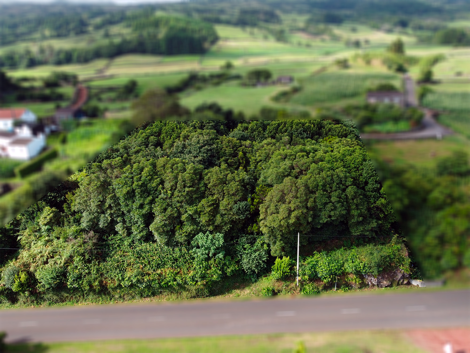 Terreno na Prainha, Ilha do Pico, para construir