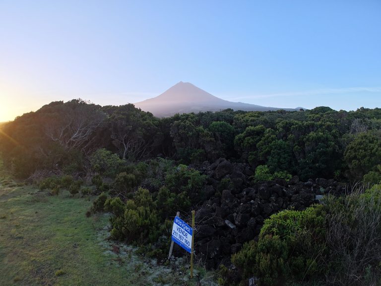 Terreno com Vista Mar e Montanha em Zona de Paisagem Protegida da Vinha